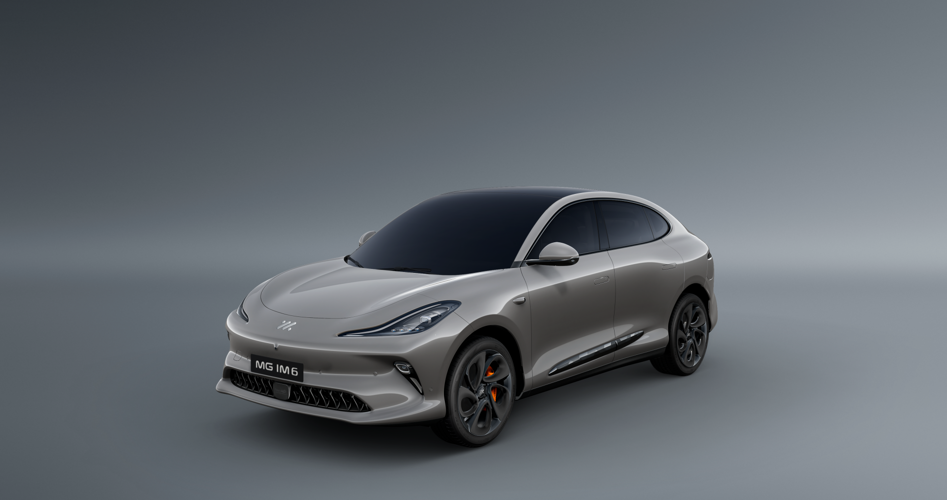 MG IM6 Performance Rembrandt Grey